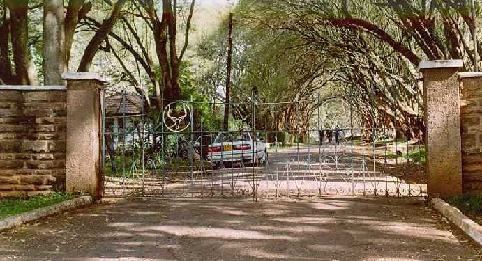 school main gate photo